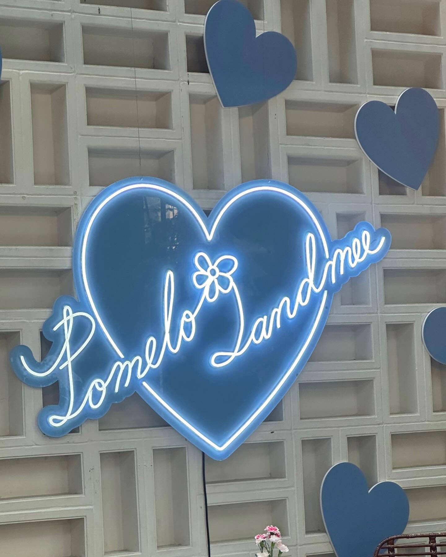 ไอซ์ - อมีนา กูล