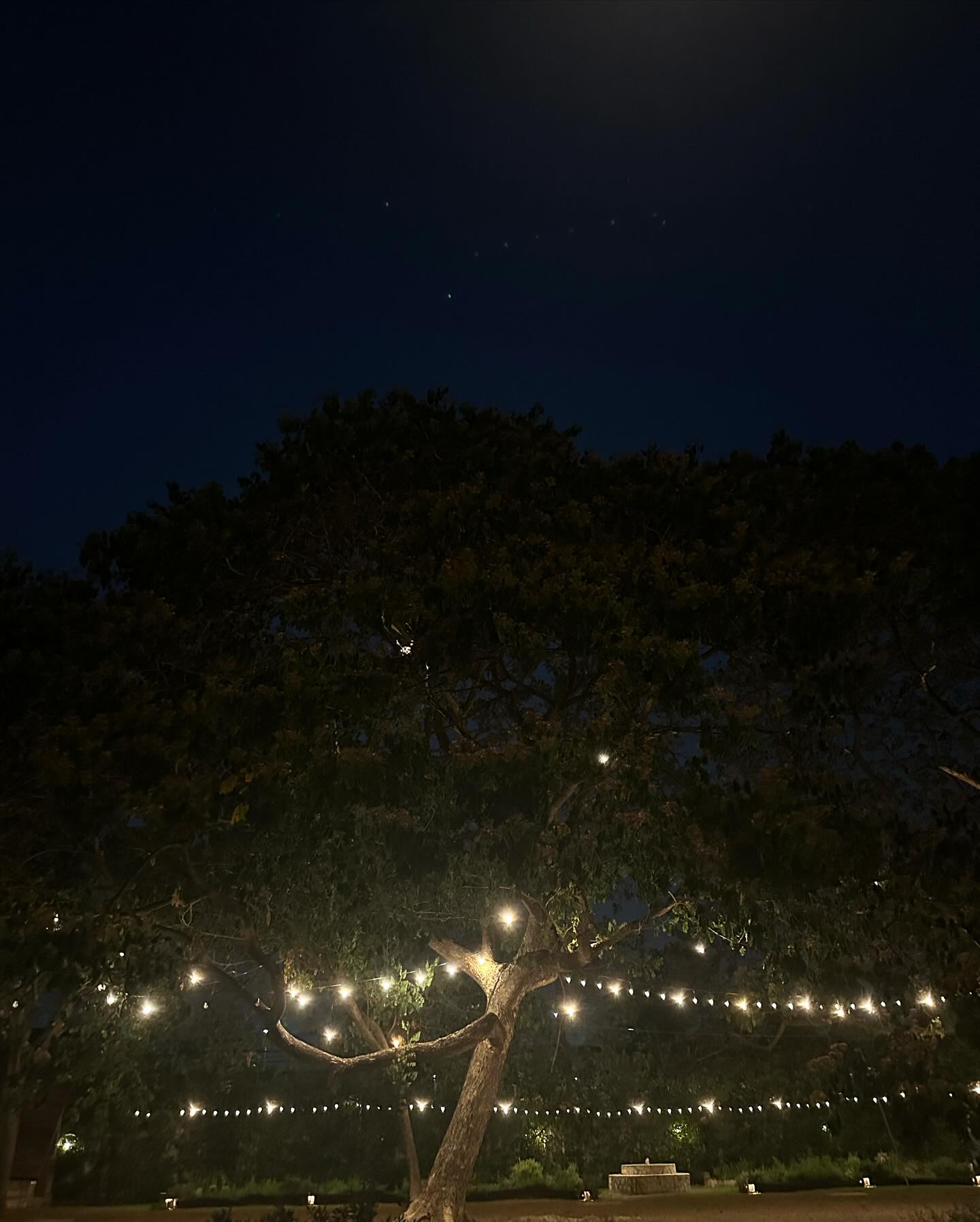 ไอซ์ - อมีนา กูล