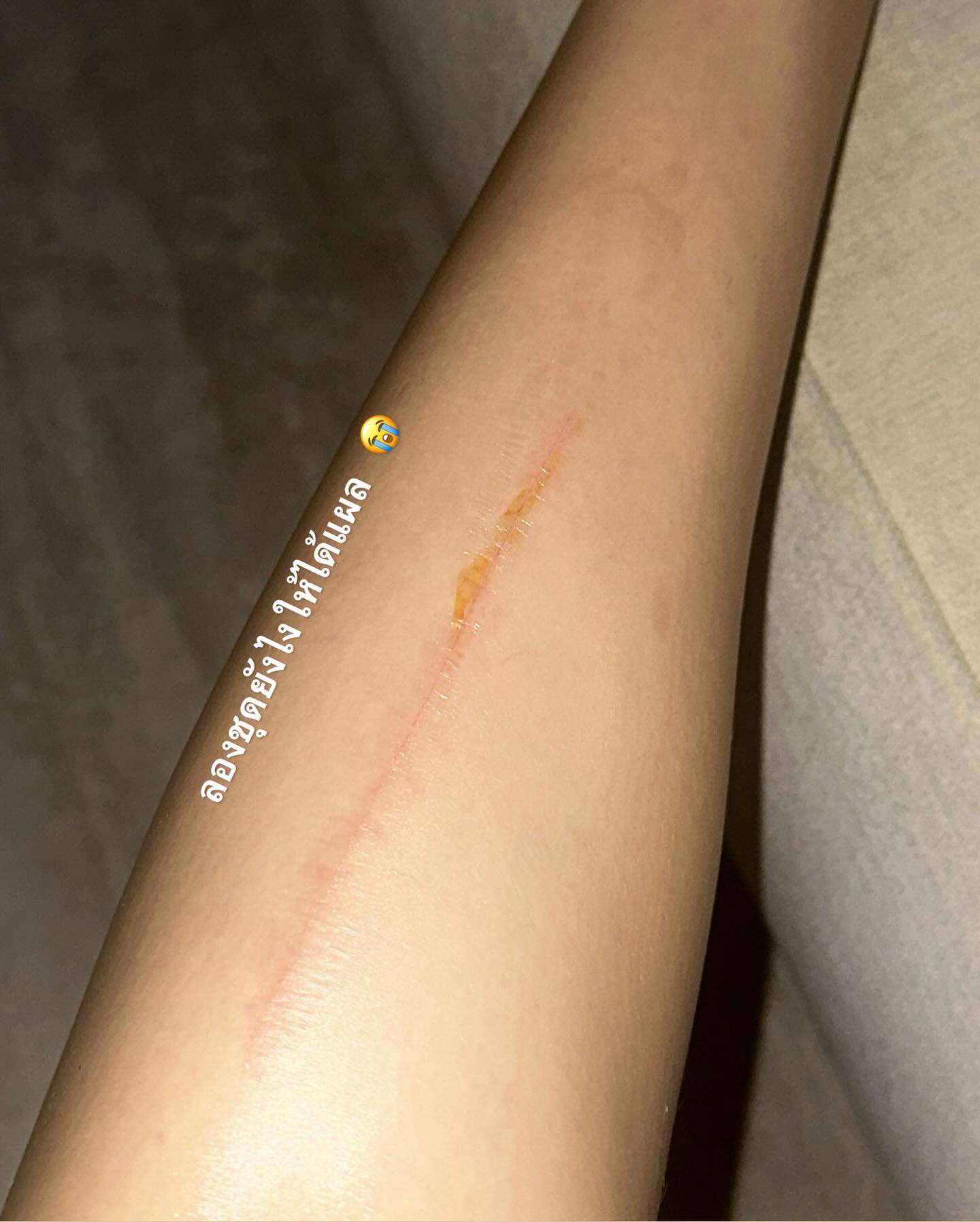 ไอซ์ - อมีนา กูล