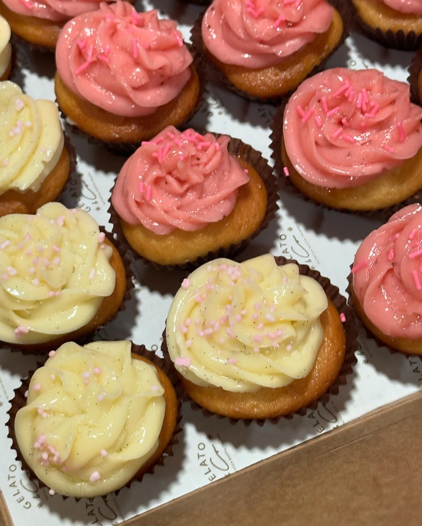 ไอซ์ - อมีนา กูล