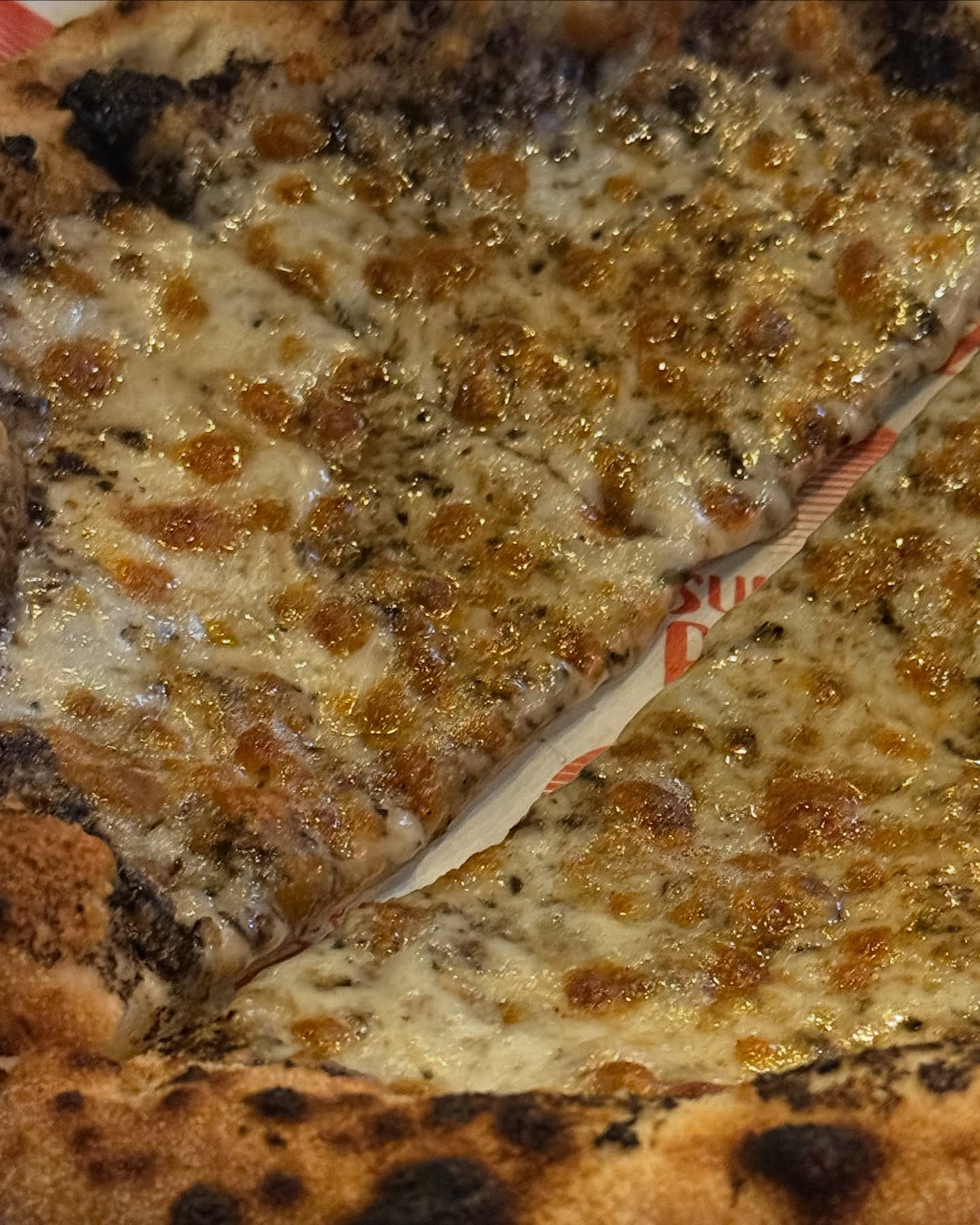 ไอซ์ - อมีนา กูล