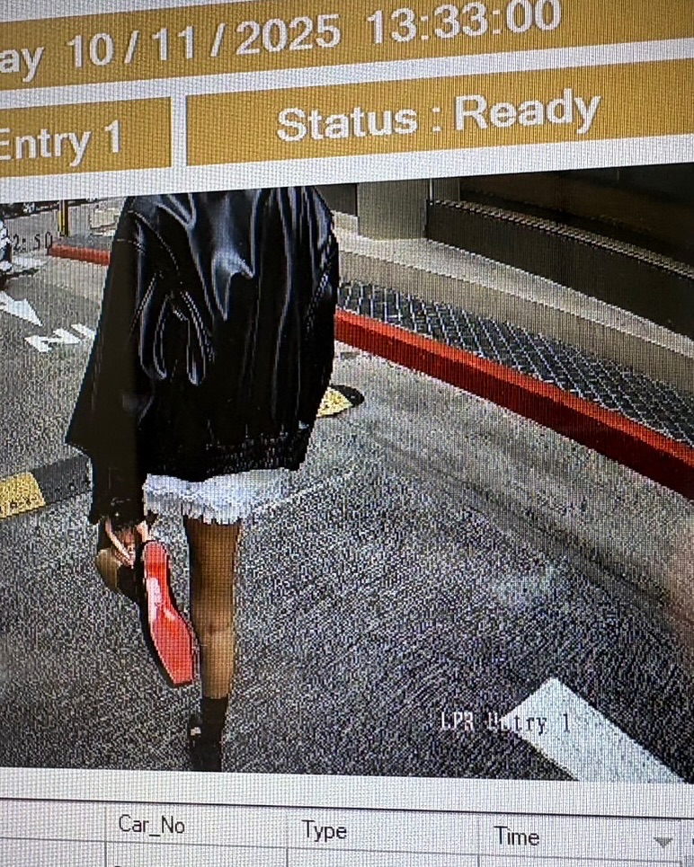 ไอซ์ - อมีนา กูล