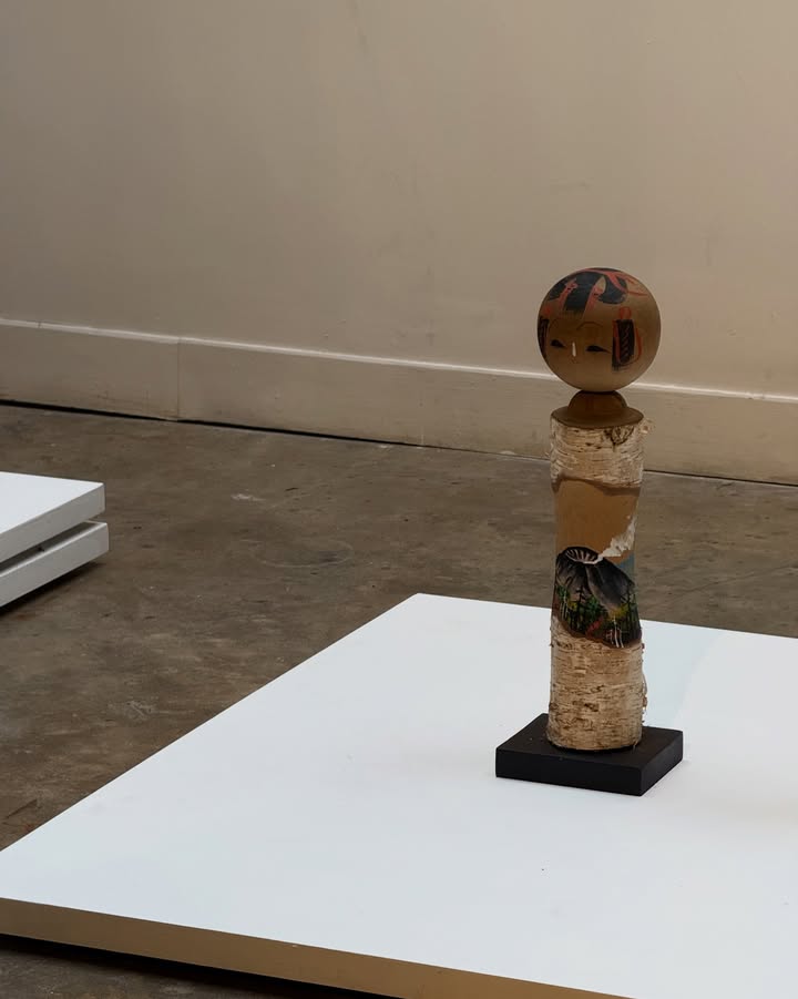 ไอซ์ - อมีนา กูล