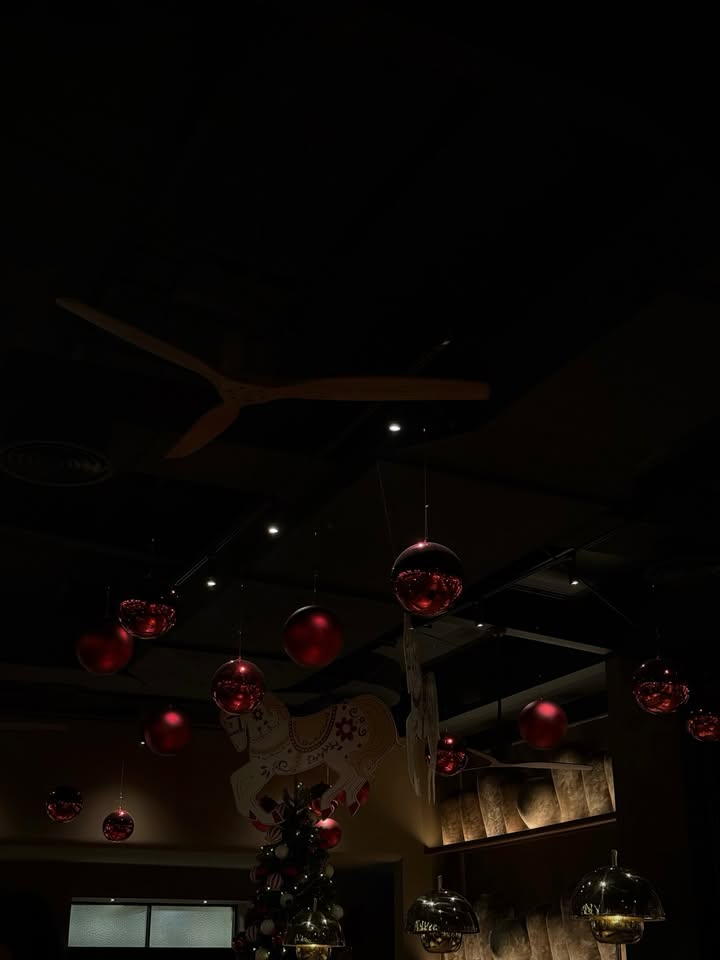 ไอซ์ - อมีนา กูล