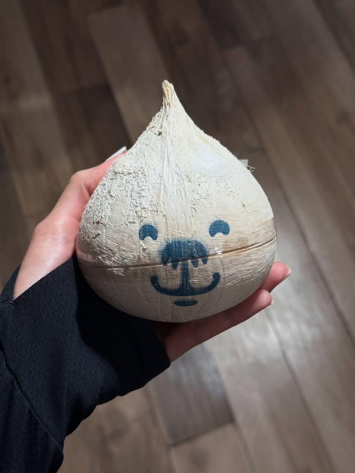 ไอซ์ - อมีนา กูล