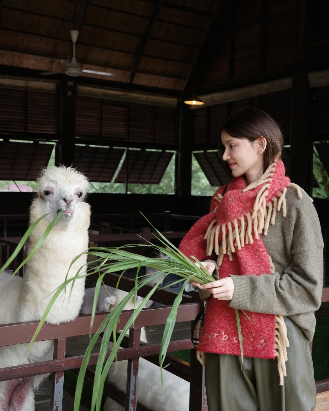 ไอซ์ - อมีนา กูล