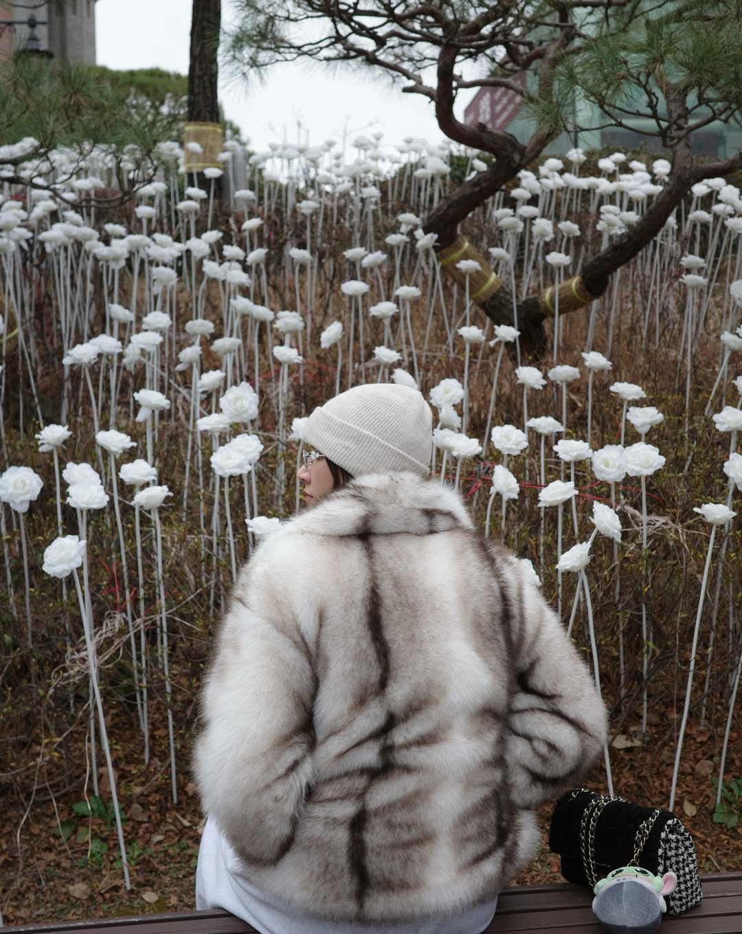 ไอซ์ - อมีนา กูล