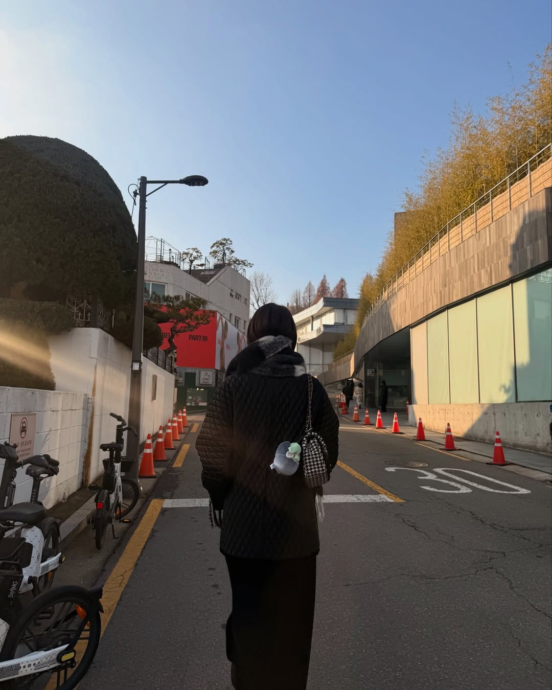 ไอซ์ - อมีนา กูล