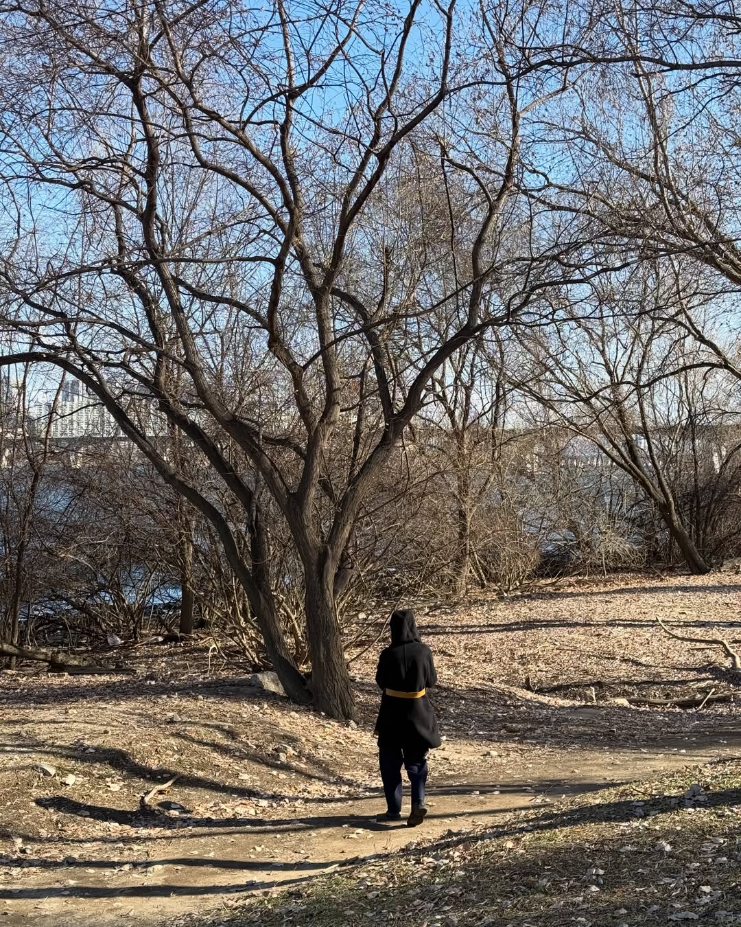 ไอซ์ - อมีนา กูล