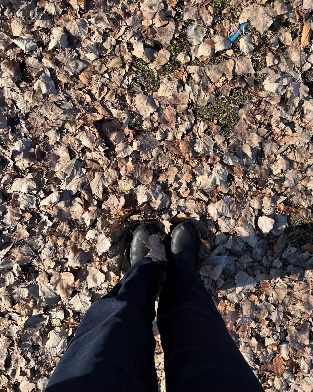 ไอซ์ - อมีนา กูล