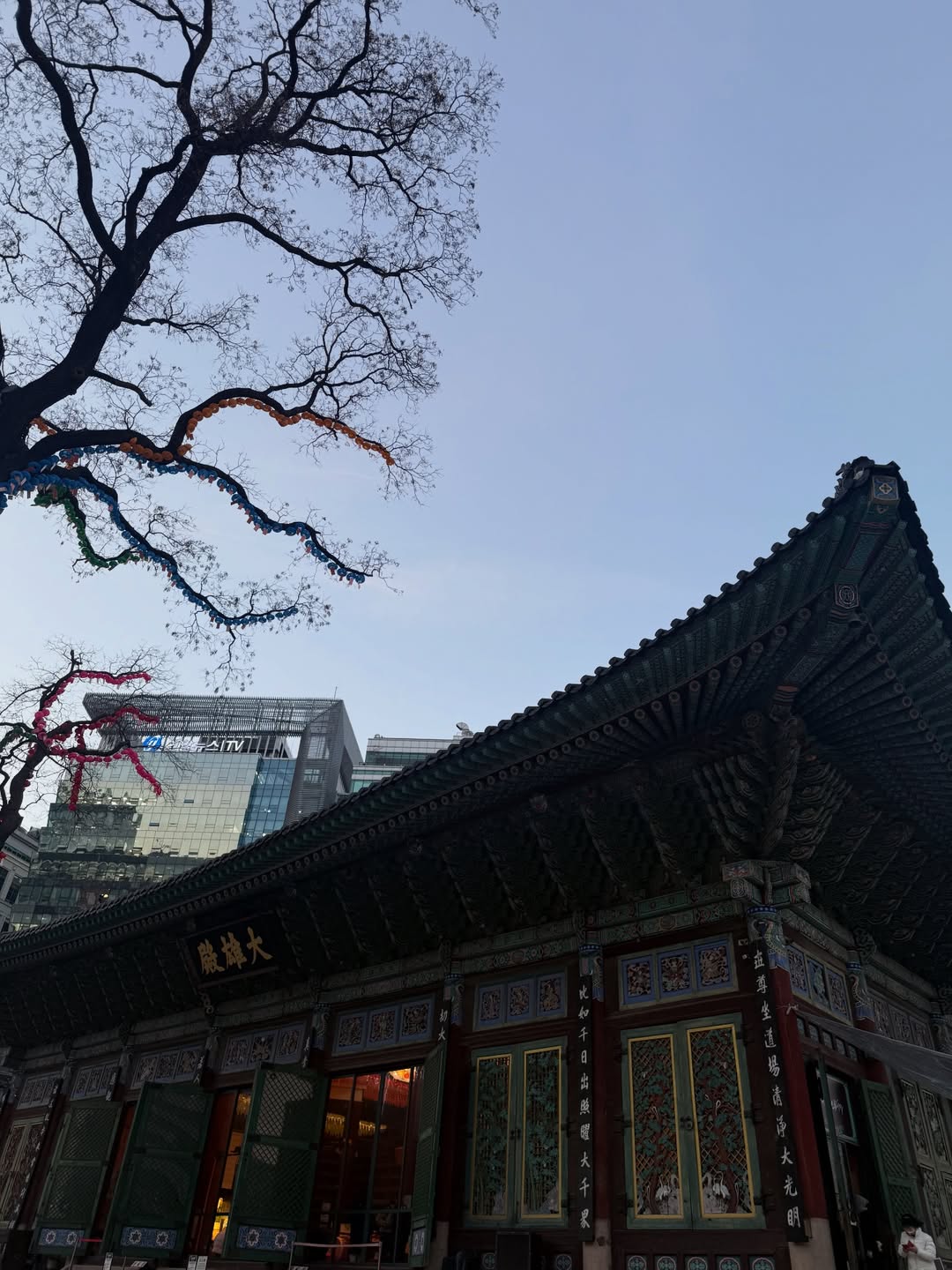 ไอซ์ - อมีนา กูล