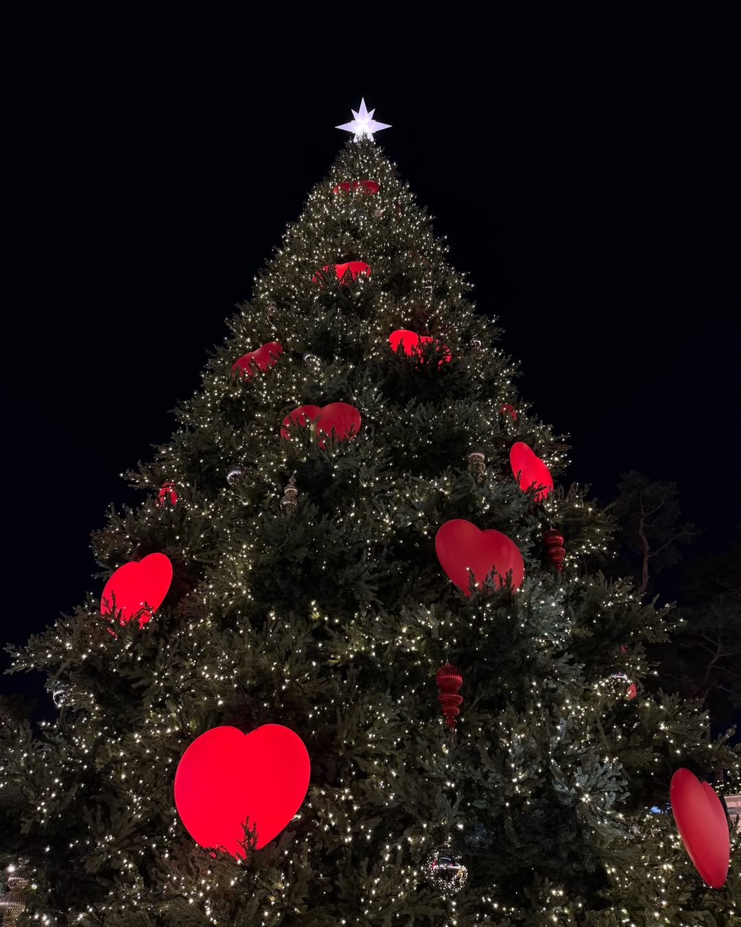 ไอซ์ - อมีนา กูล