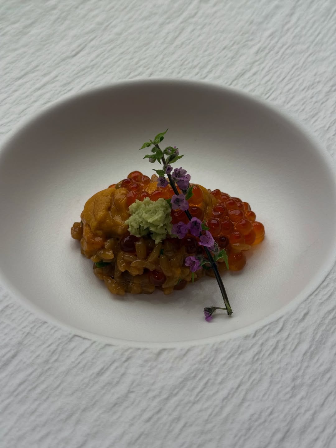 ไอซ์ - อมีนา กูล