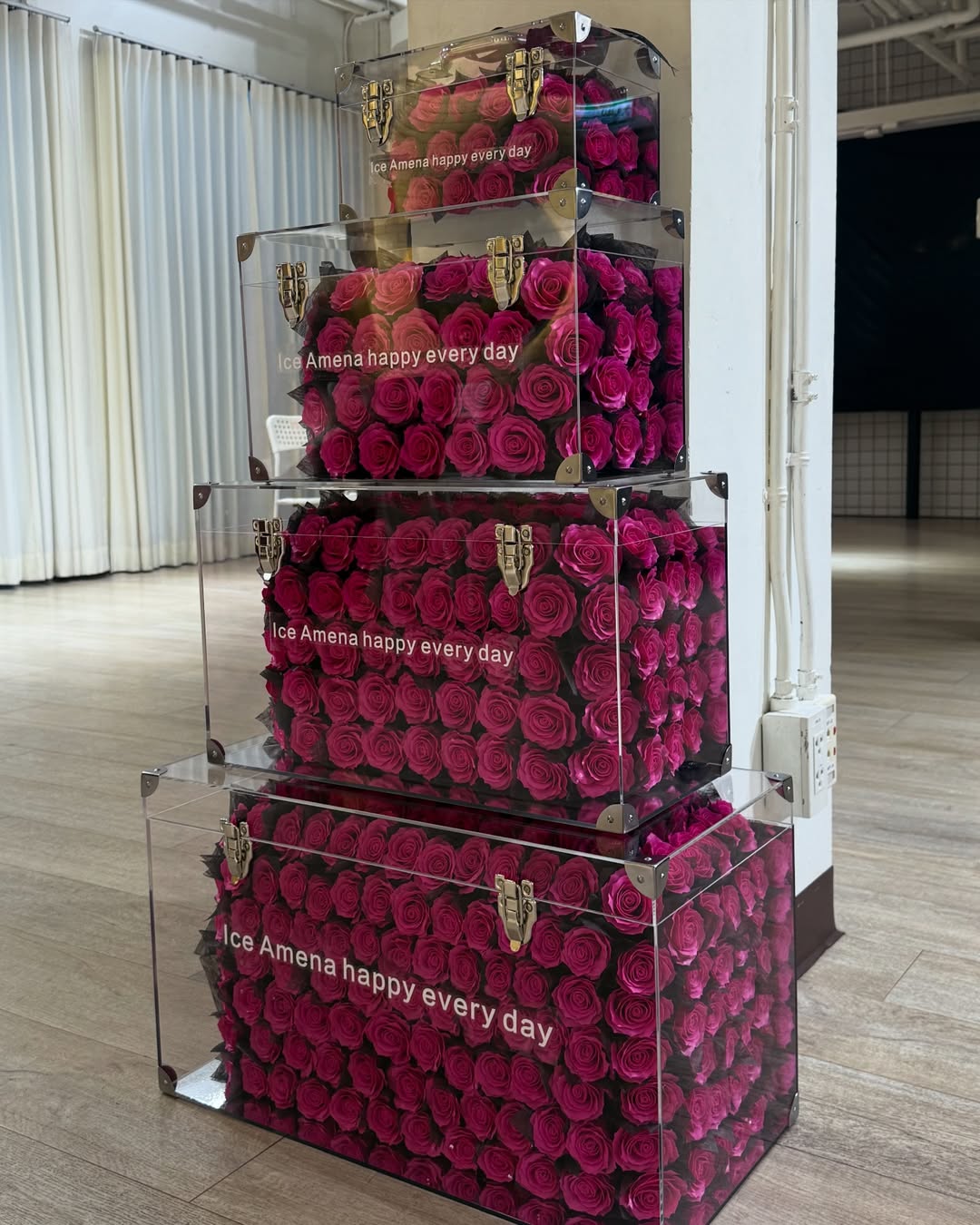 ไอซ์ - อมีนา กูล