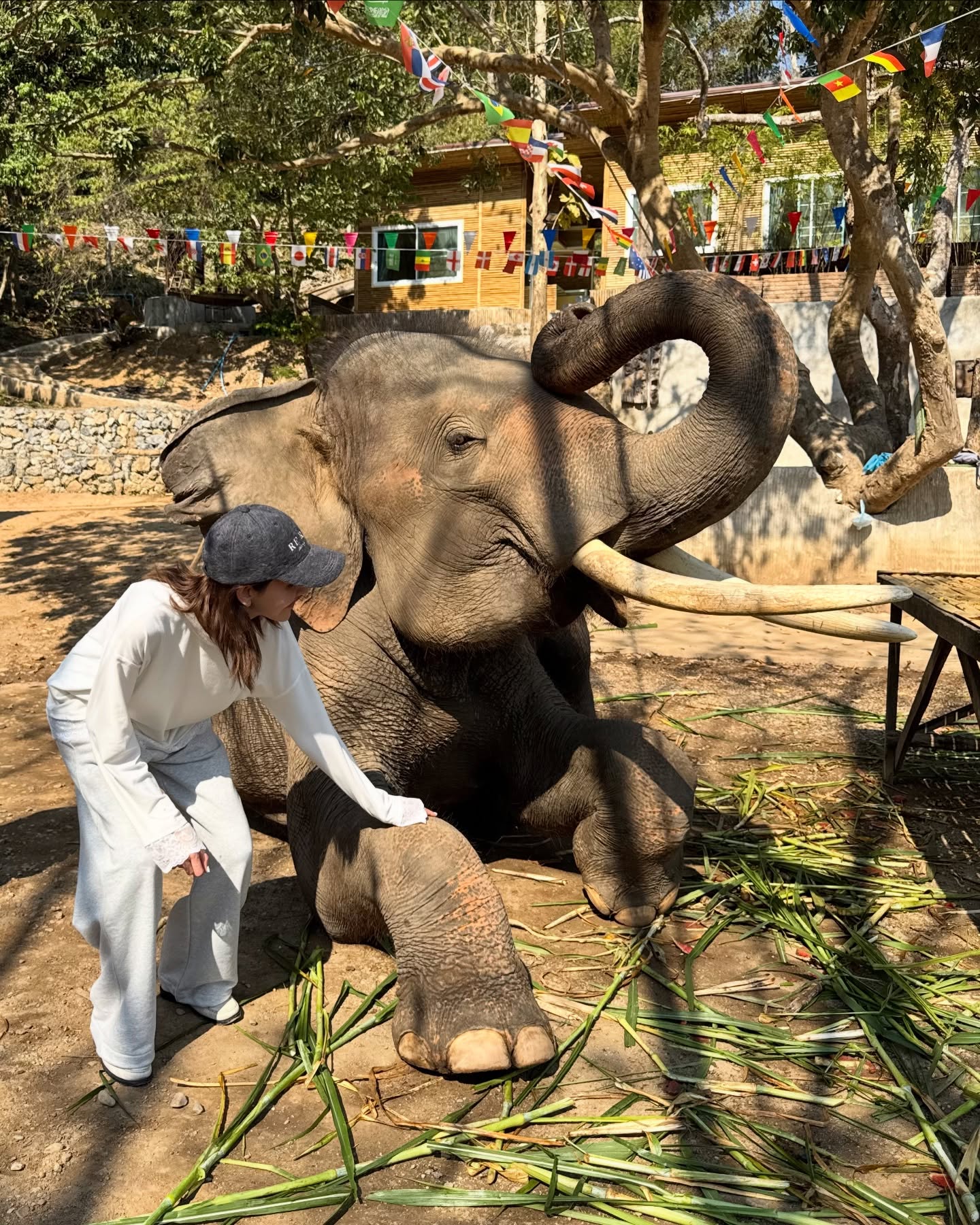 ไอซ์ - อมีนา กูล