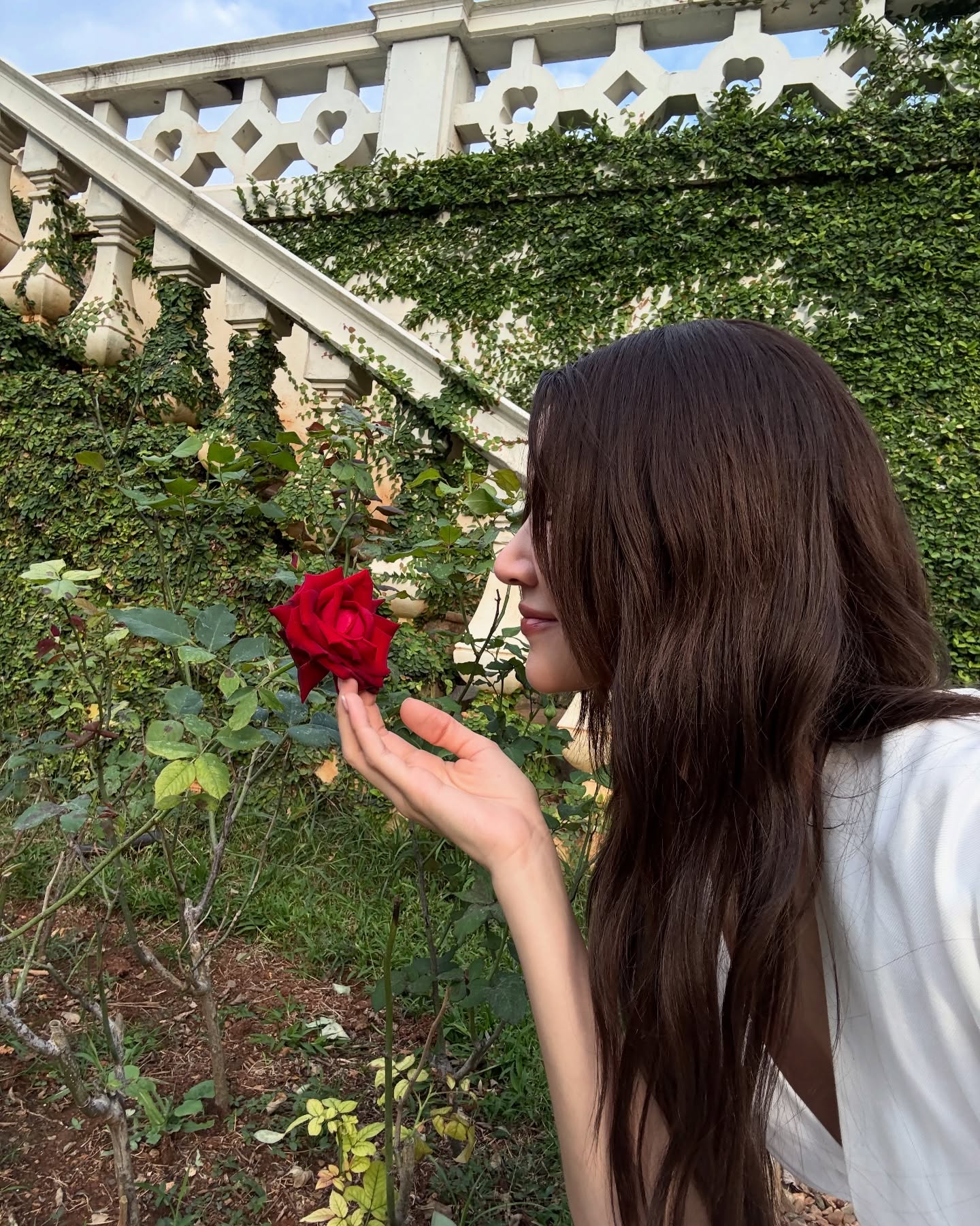 ไอซ์ - อมีนา กูล