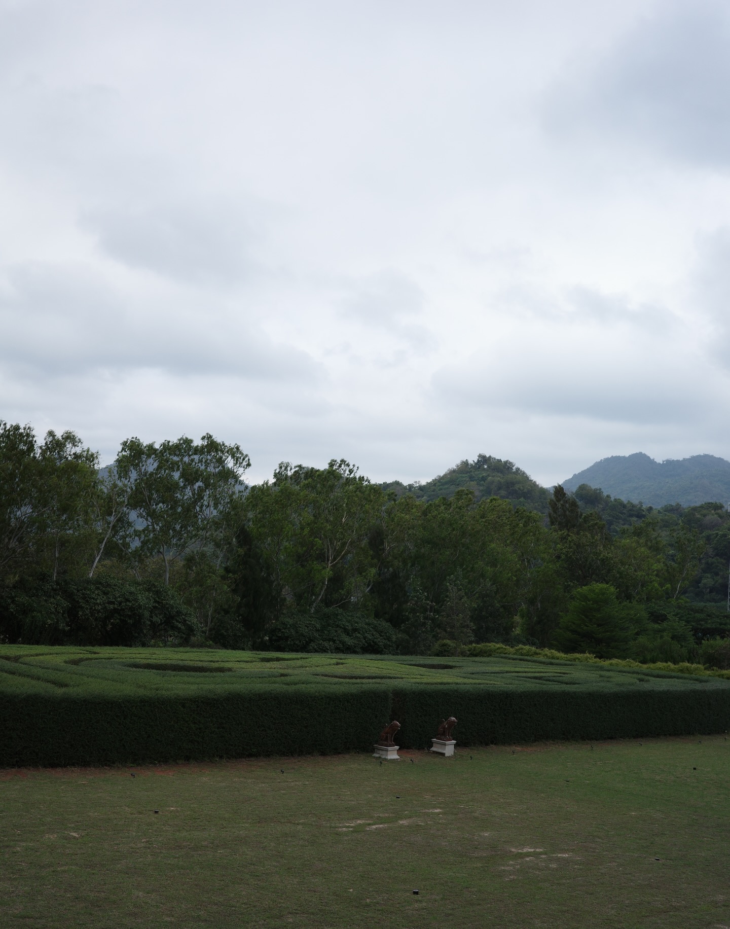 ไอซ์ - อมีนา กูล