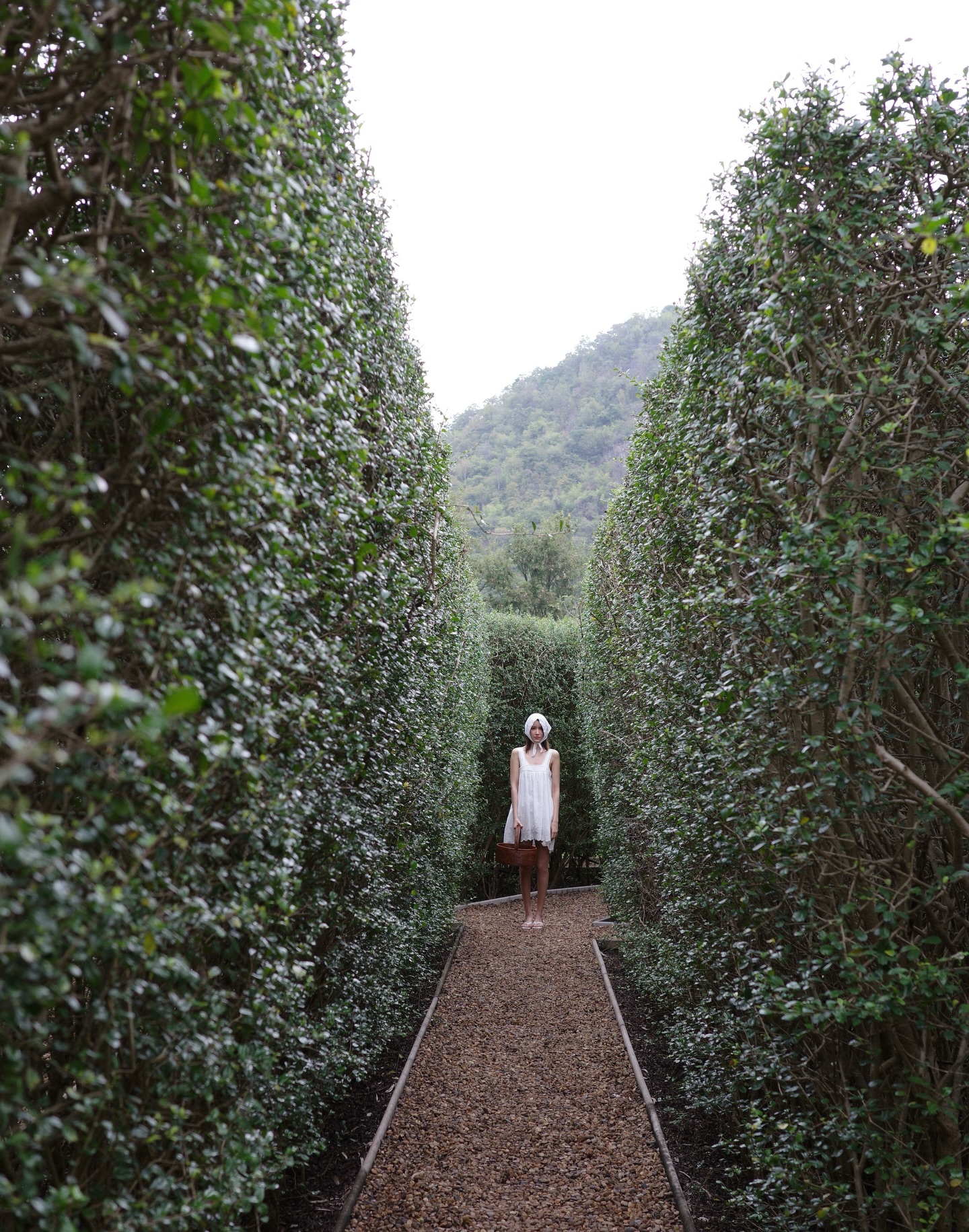 ไอซ์ - อมีนา กูล