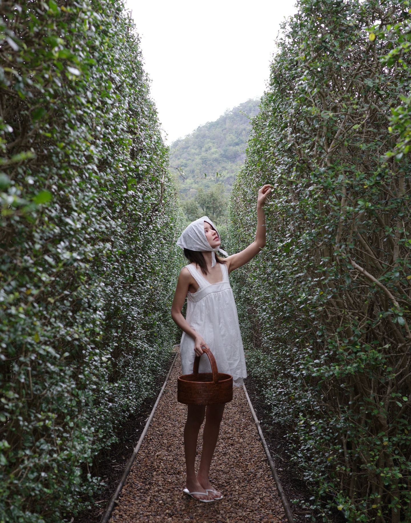 ไอซ์ - อมีนา กูล