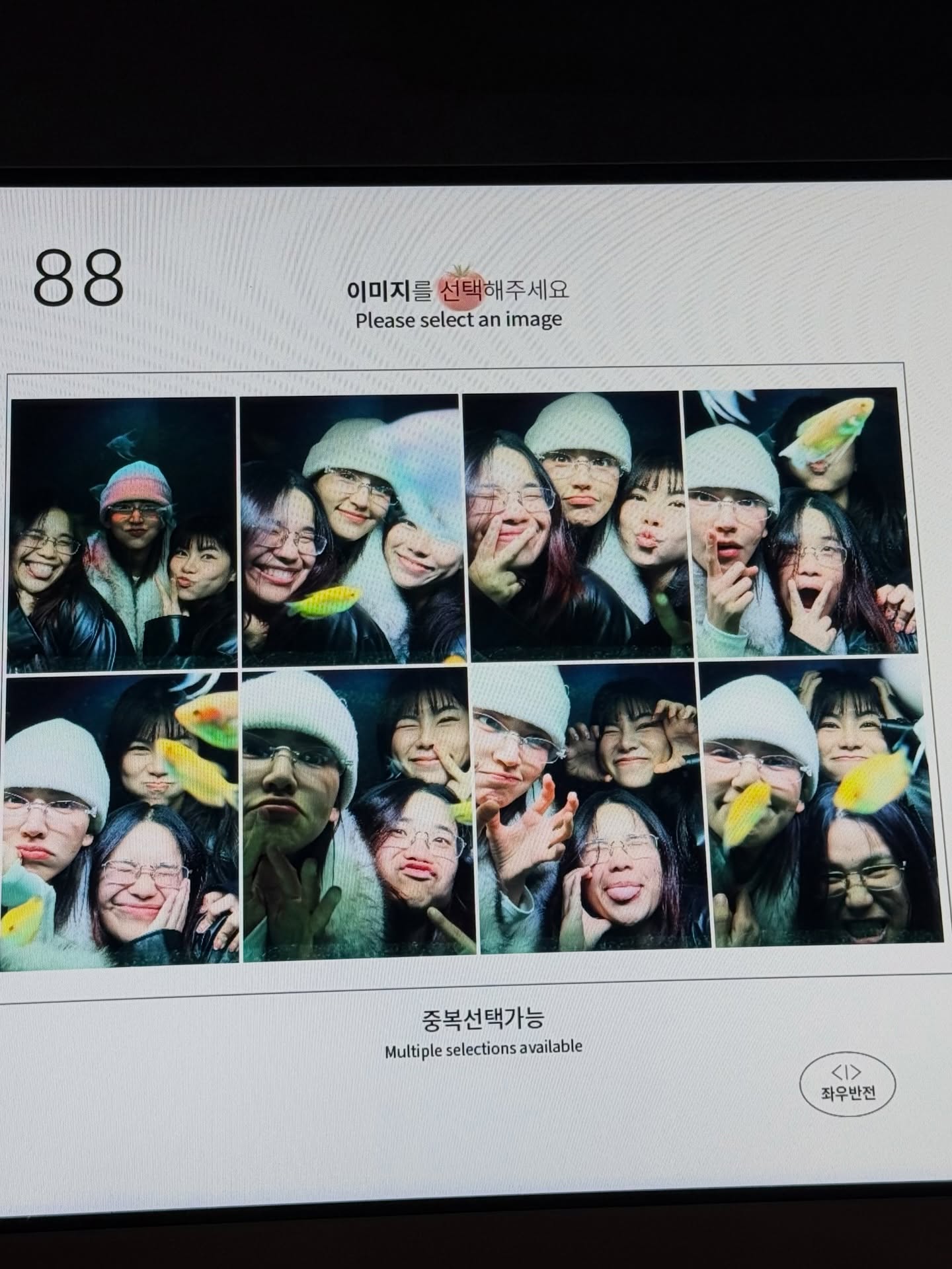 ไอซ์ - อมีนา กูล