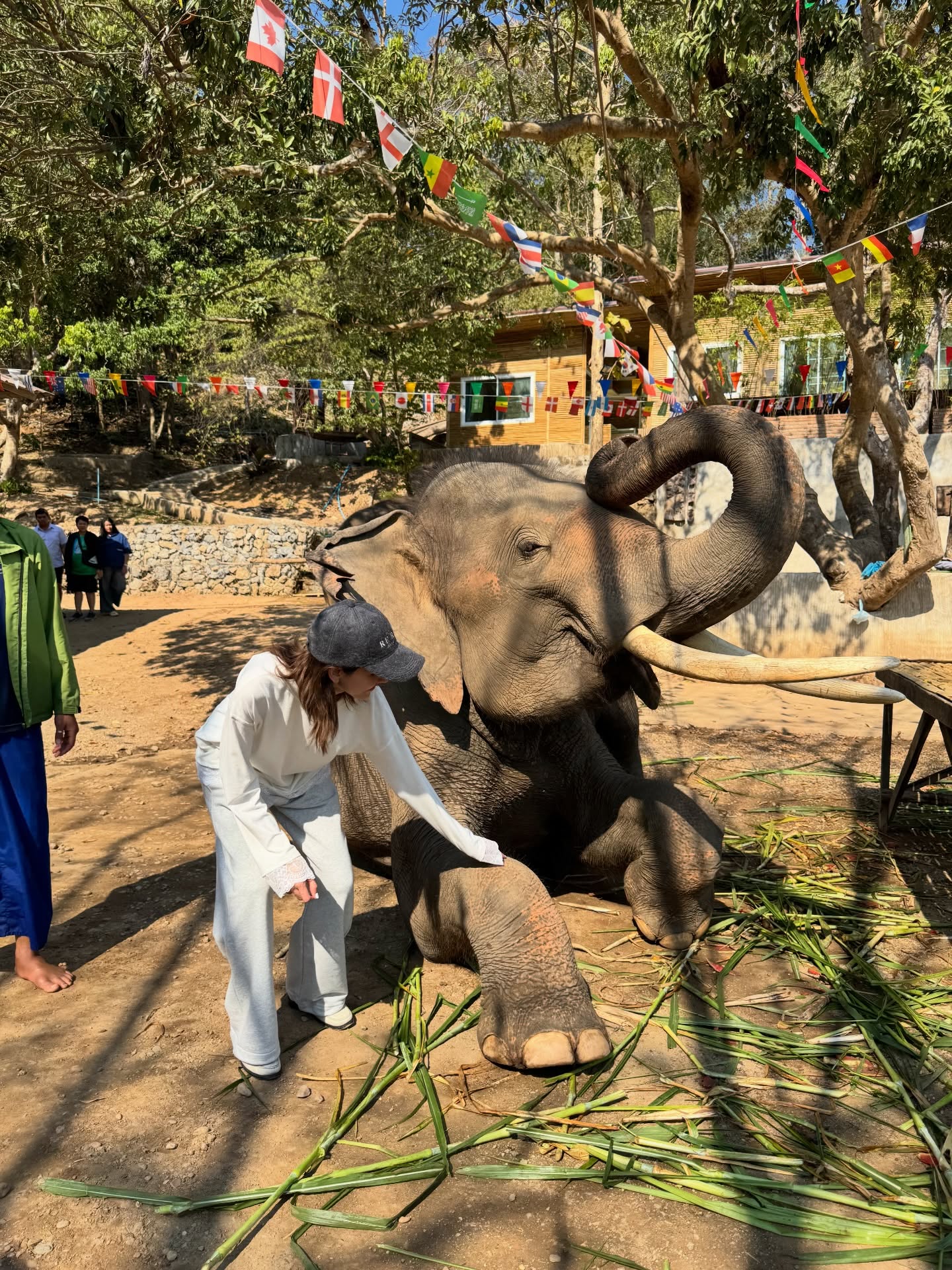 ไอซ์ - อมีนา กูล