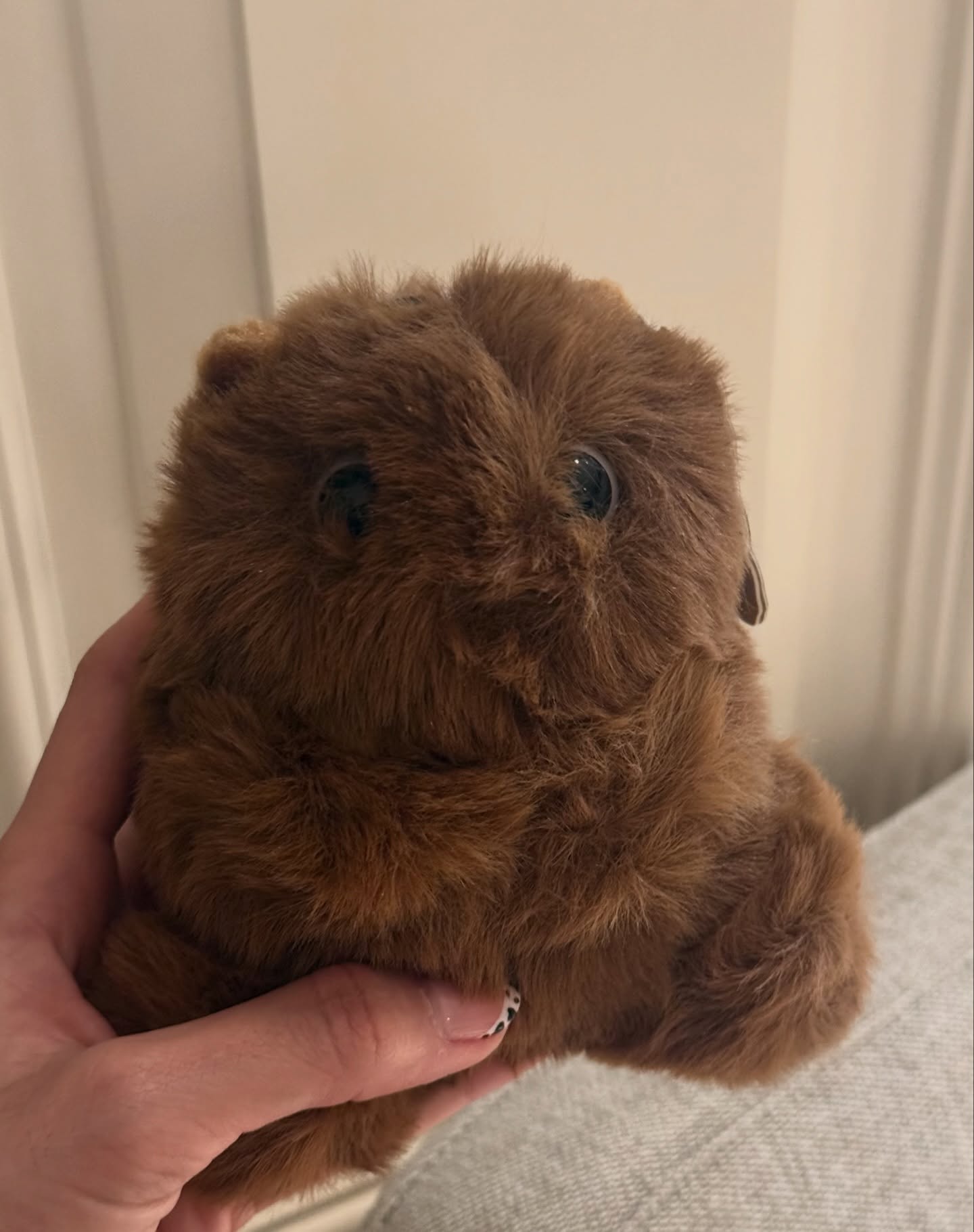 ไอซ์ - อมีนา กูล