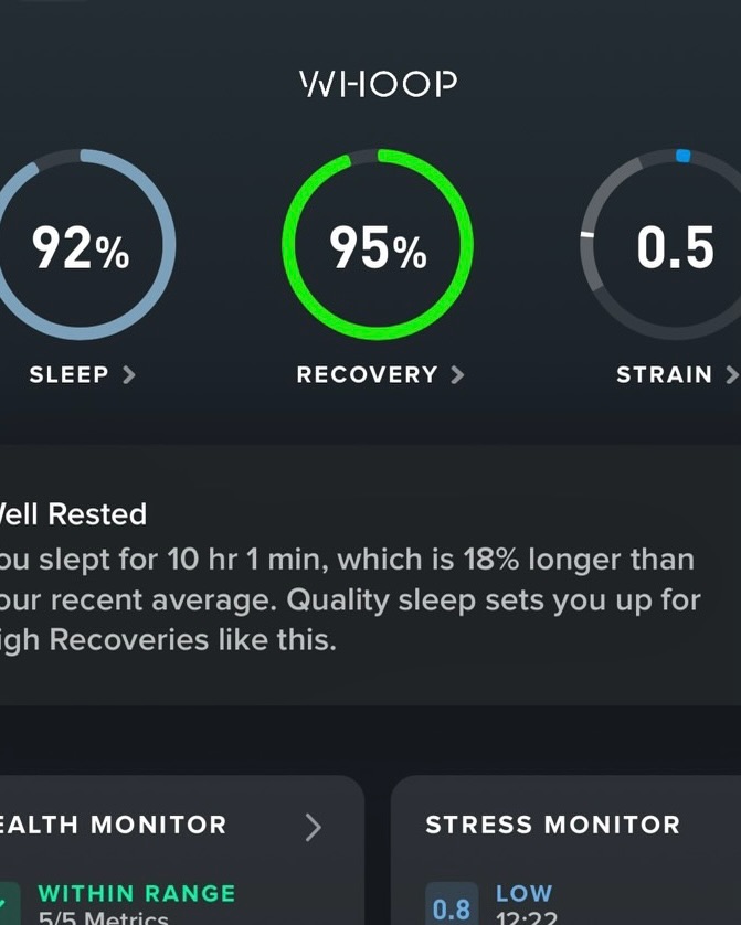 ไอซ์ - อมีนา กูล