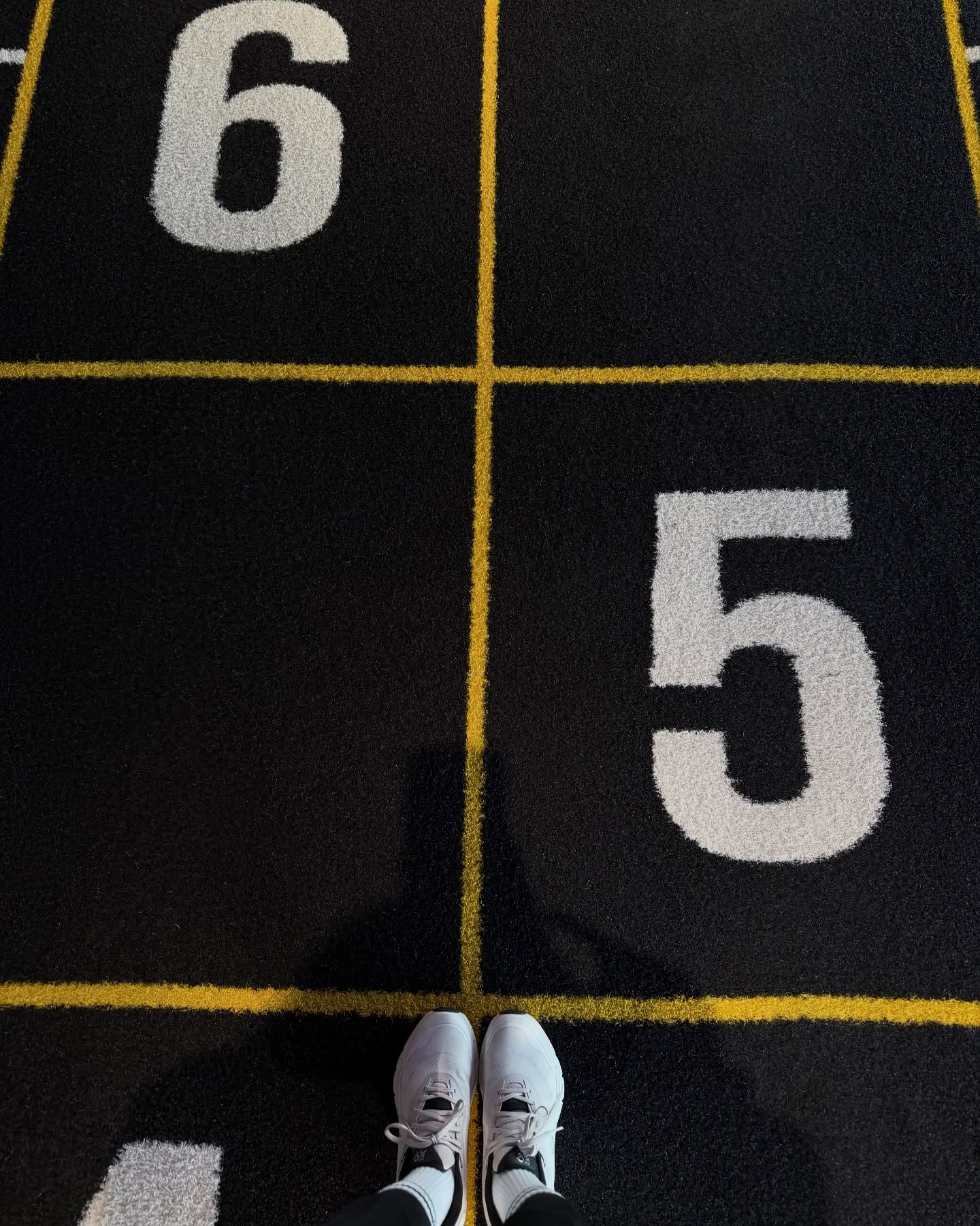 ไอซ์ - อมีนา กูล