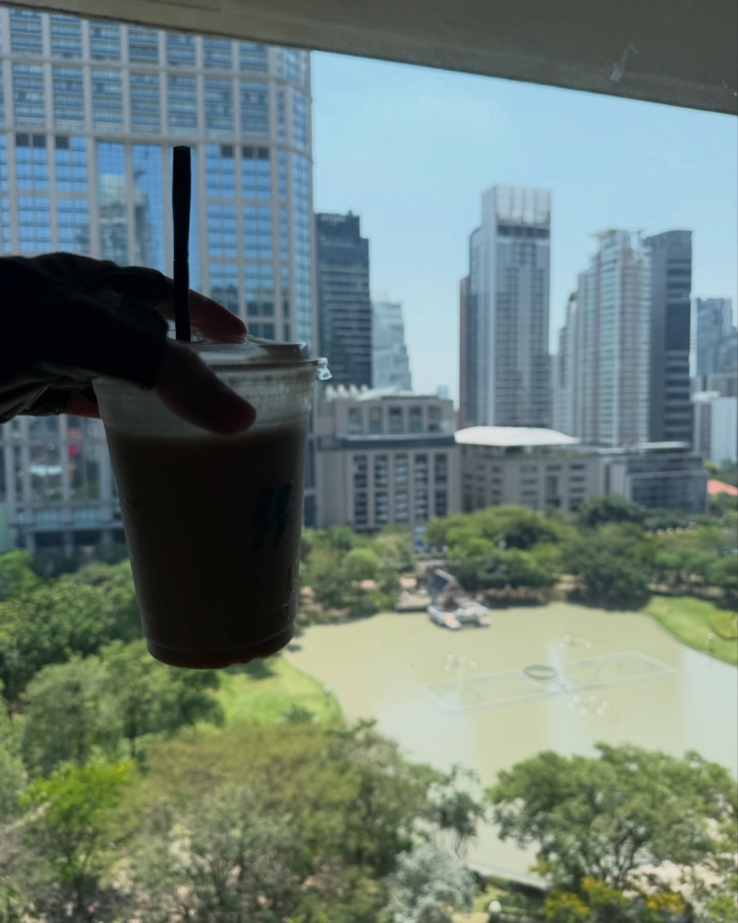 ไอซ์ - อมีนา กูล