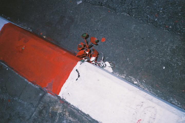 นนท์ - ศดานนท์ ดุรงคเวโรจน์