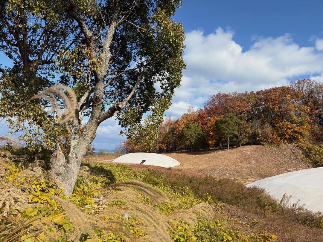 นนท์ - ศดานนท์ ดุรงคเวโรจน์