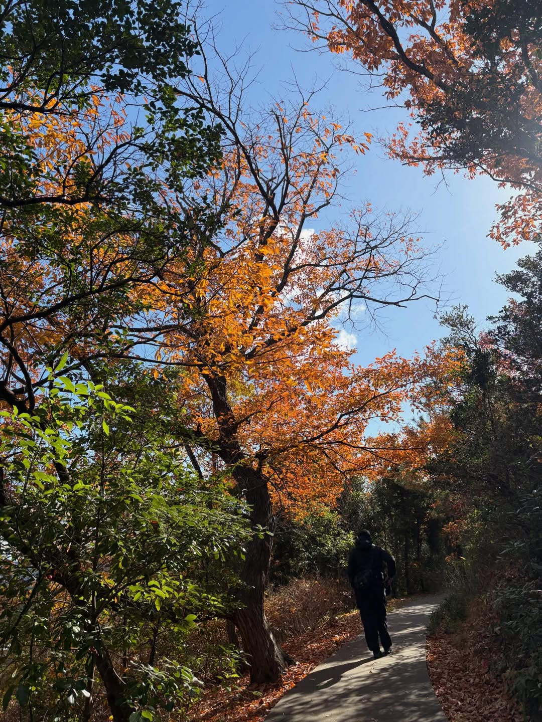 นนท์ - ศดานนท์ ดุรงคเวโรจน์