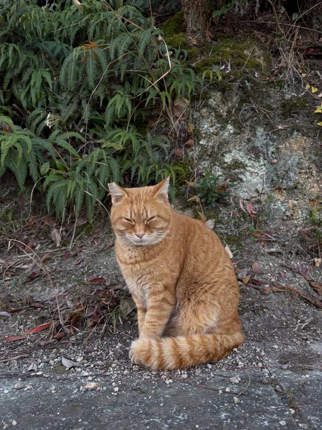 นนท์ - ศดานนท์ ดุรงคเวโรจน์