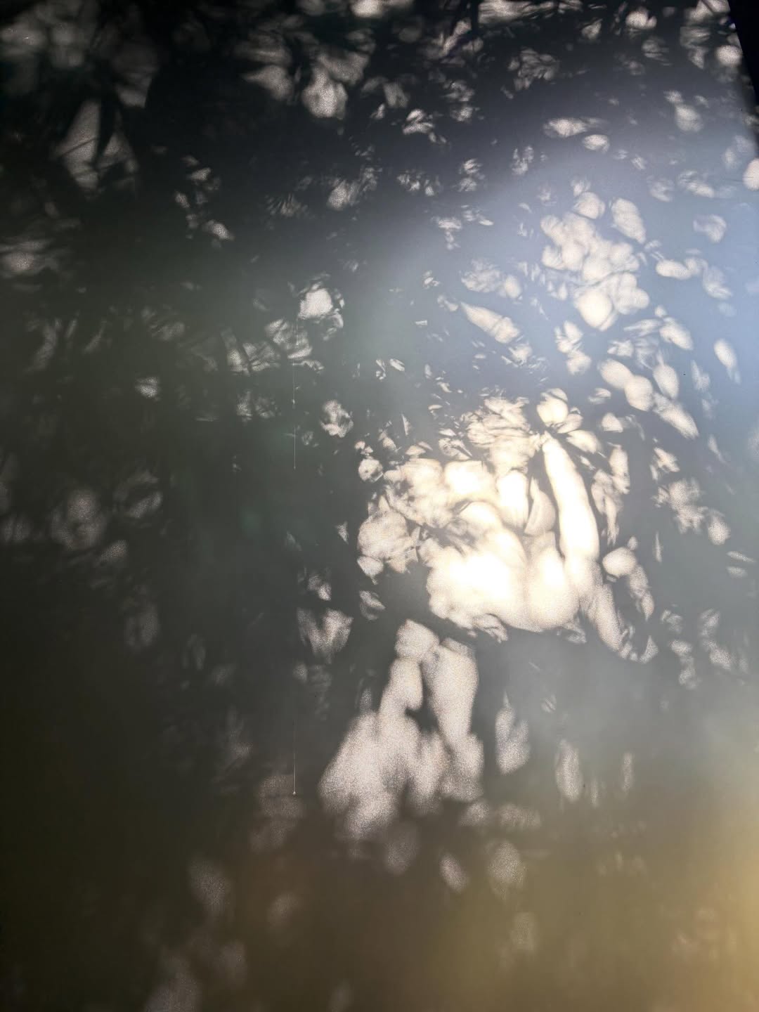 นนท์ - ศดานนท์ ดุรงคเวโรจน์