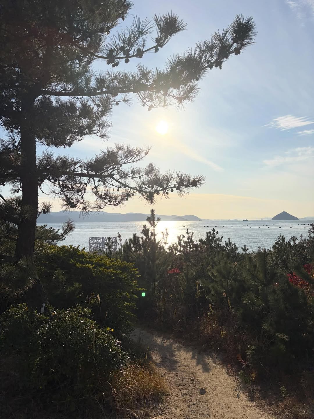 นนท์ - ศดานนท์ ดุรงคเวโรจน์