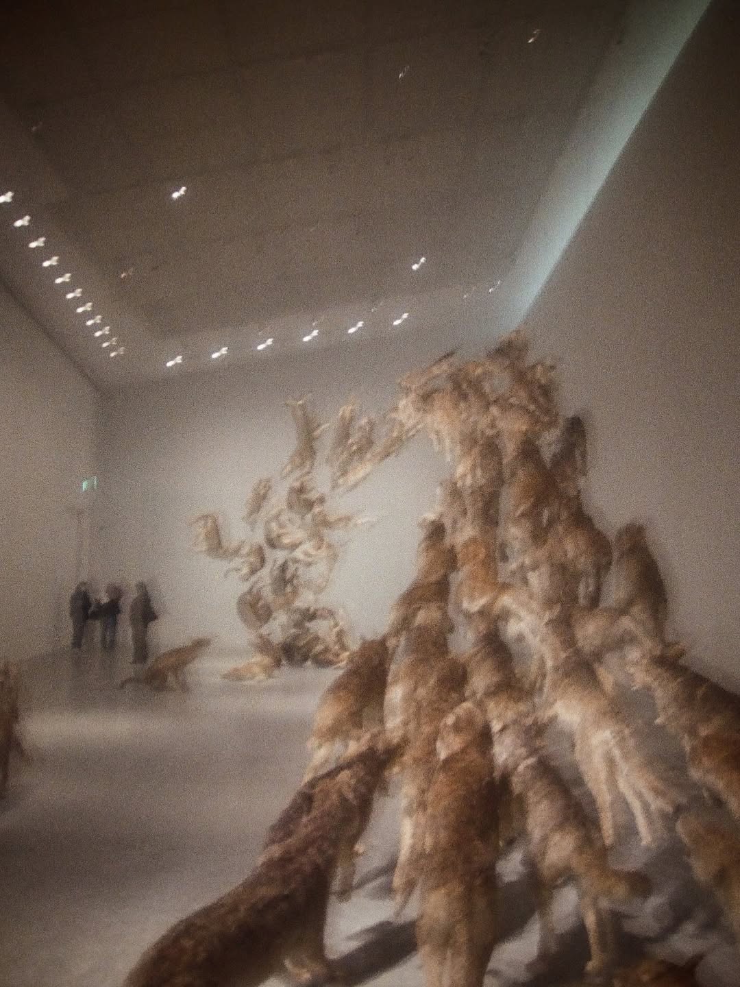 นนท์ - ศดานนท์ ดุรงคเวโรจน์