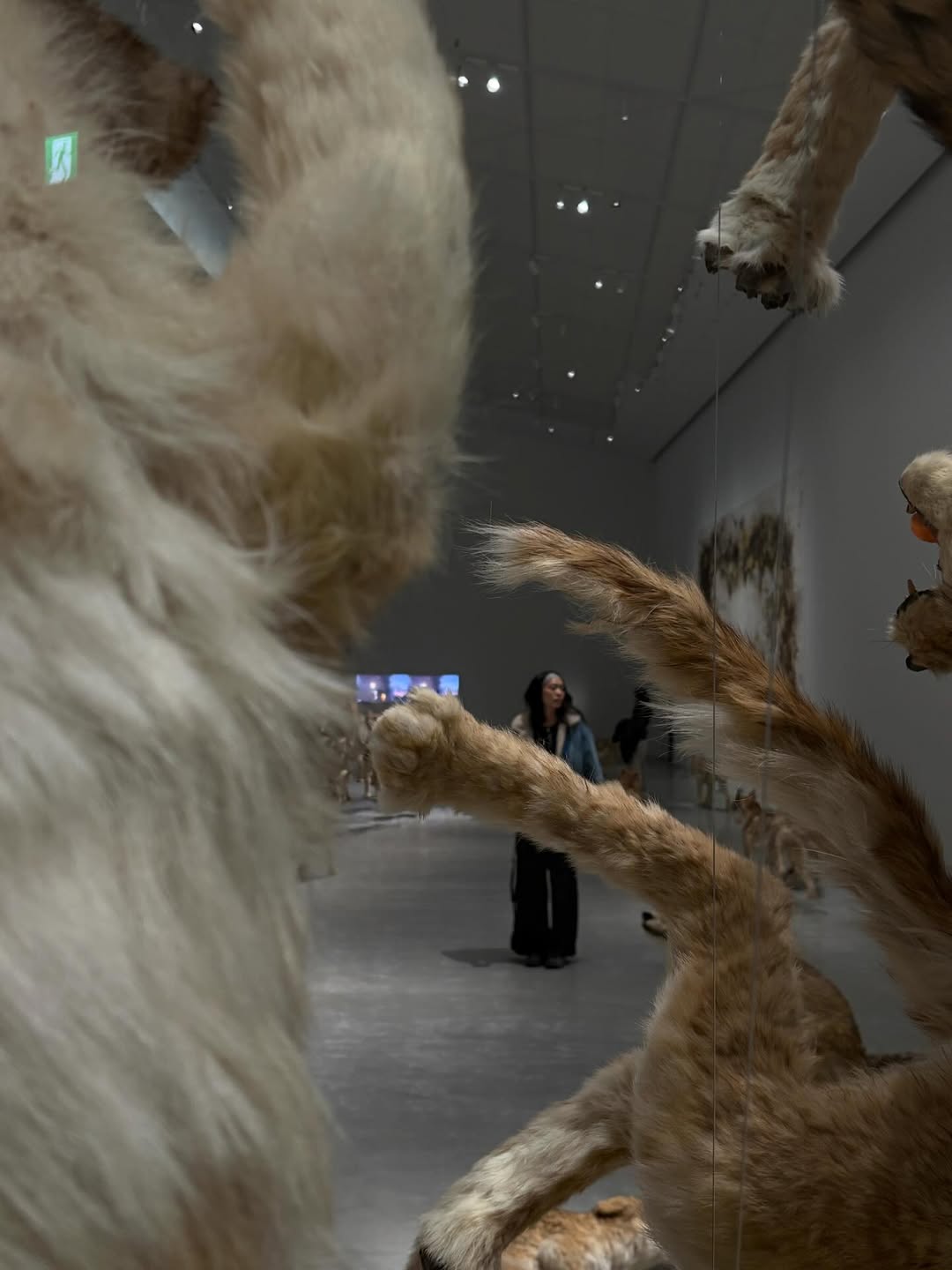 นนท์ - ศดานนท์ ดุรงคเวโรจน์