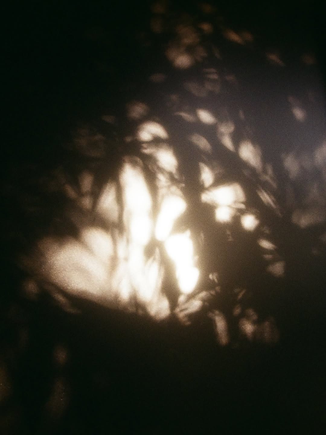 นนท์ - ศดานนท์ ดุรงคเวโรจน์