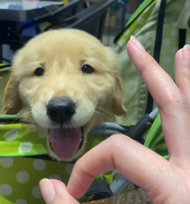 หลิงหลิง - ศิริลักษณ์ คอง