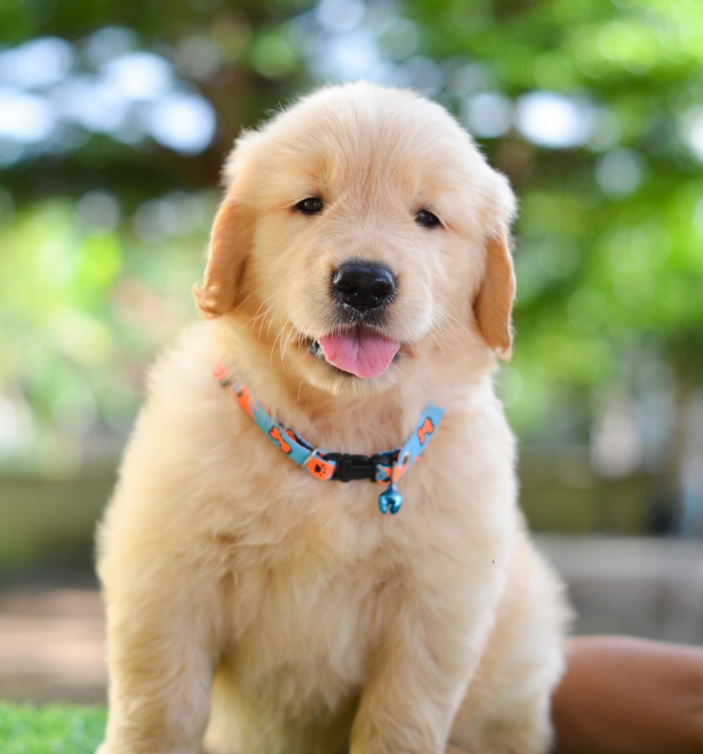 หลิงหลิง - ศิริลักษณ์ คอง