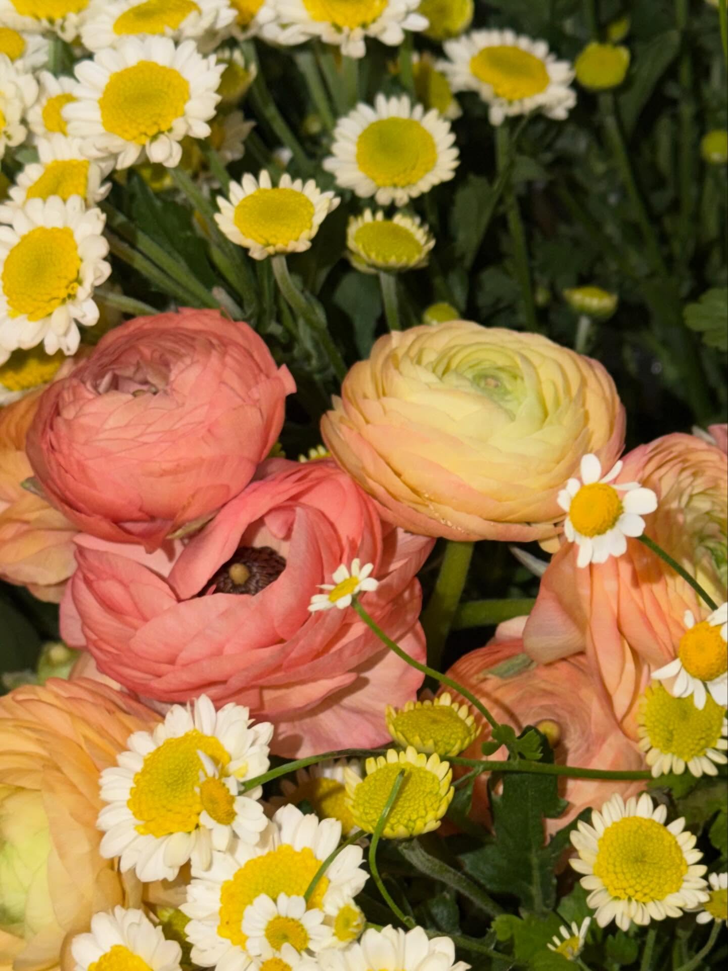 หลิงหลิง - ศิริลักษณ์ คอง