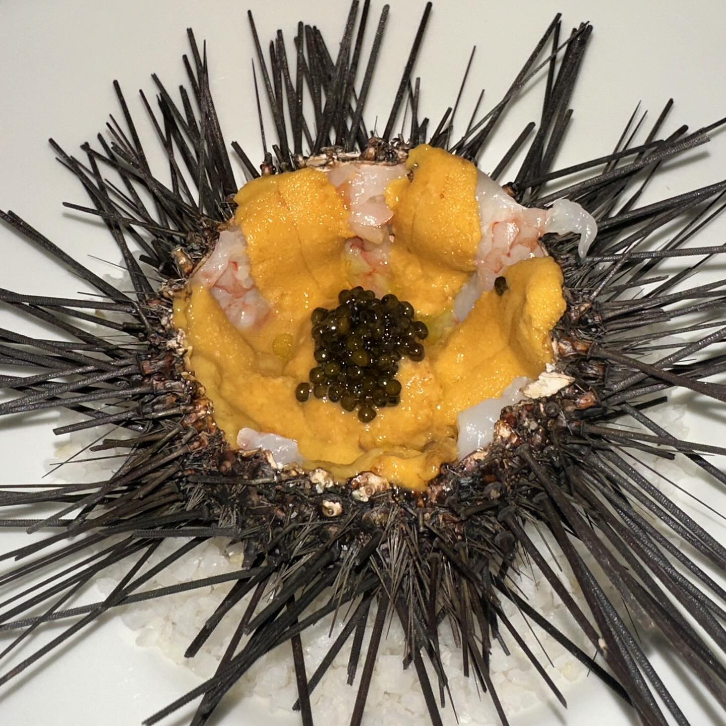 มิ้นท์ - ณัฐวรา วงศ์วาสนา