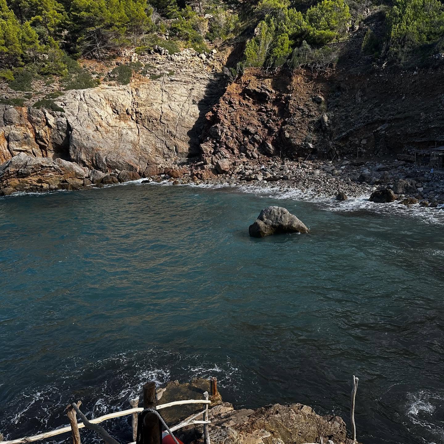 มิ้นท์ - ณัฐวรา วงศ์วาสนา