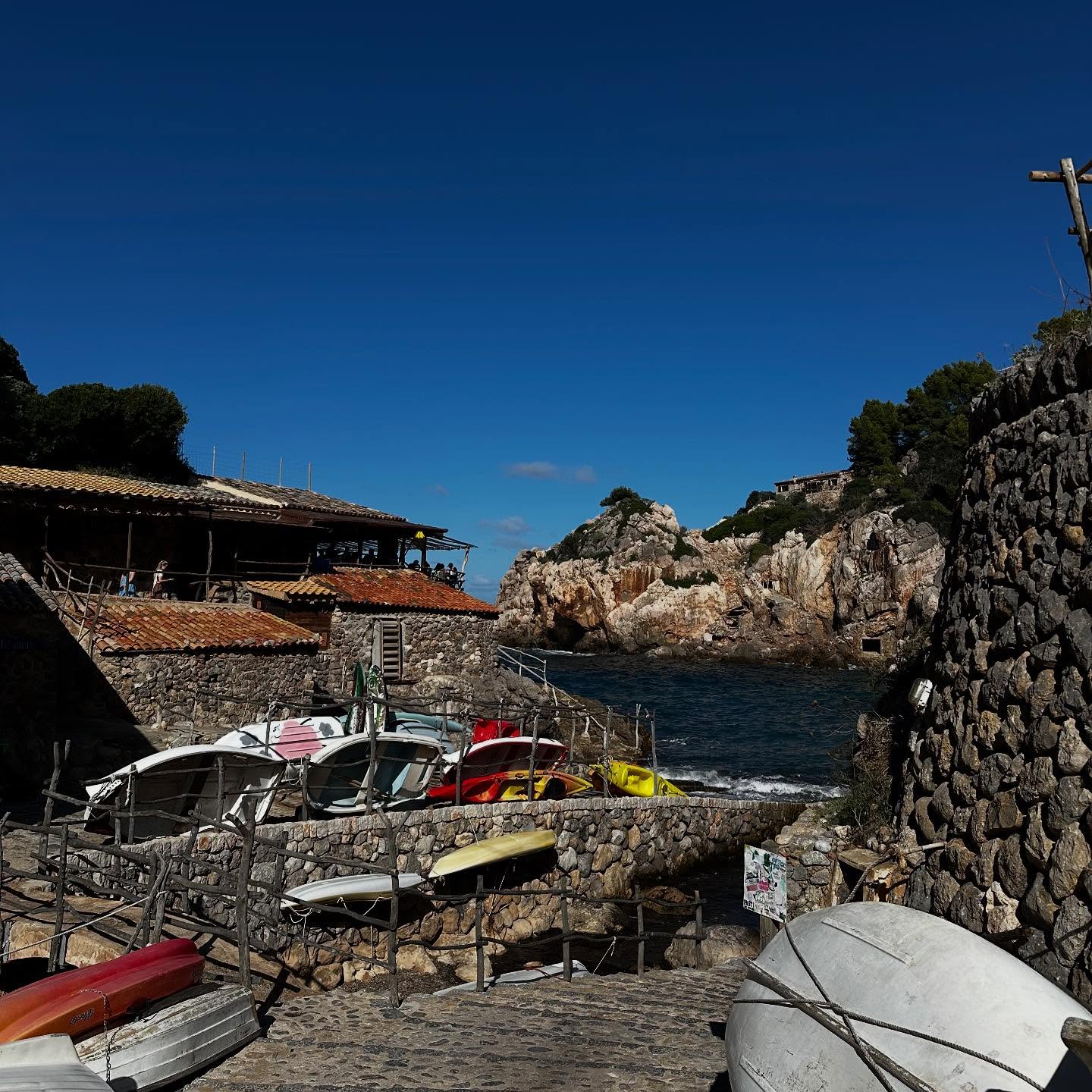 มิ้นท์ - ณัฐวรา วงศ์วาสนา