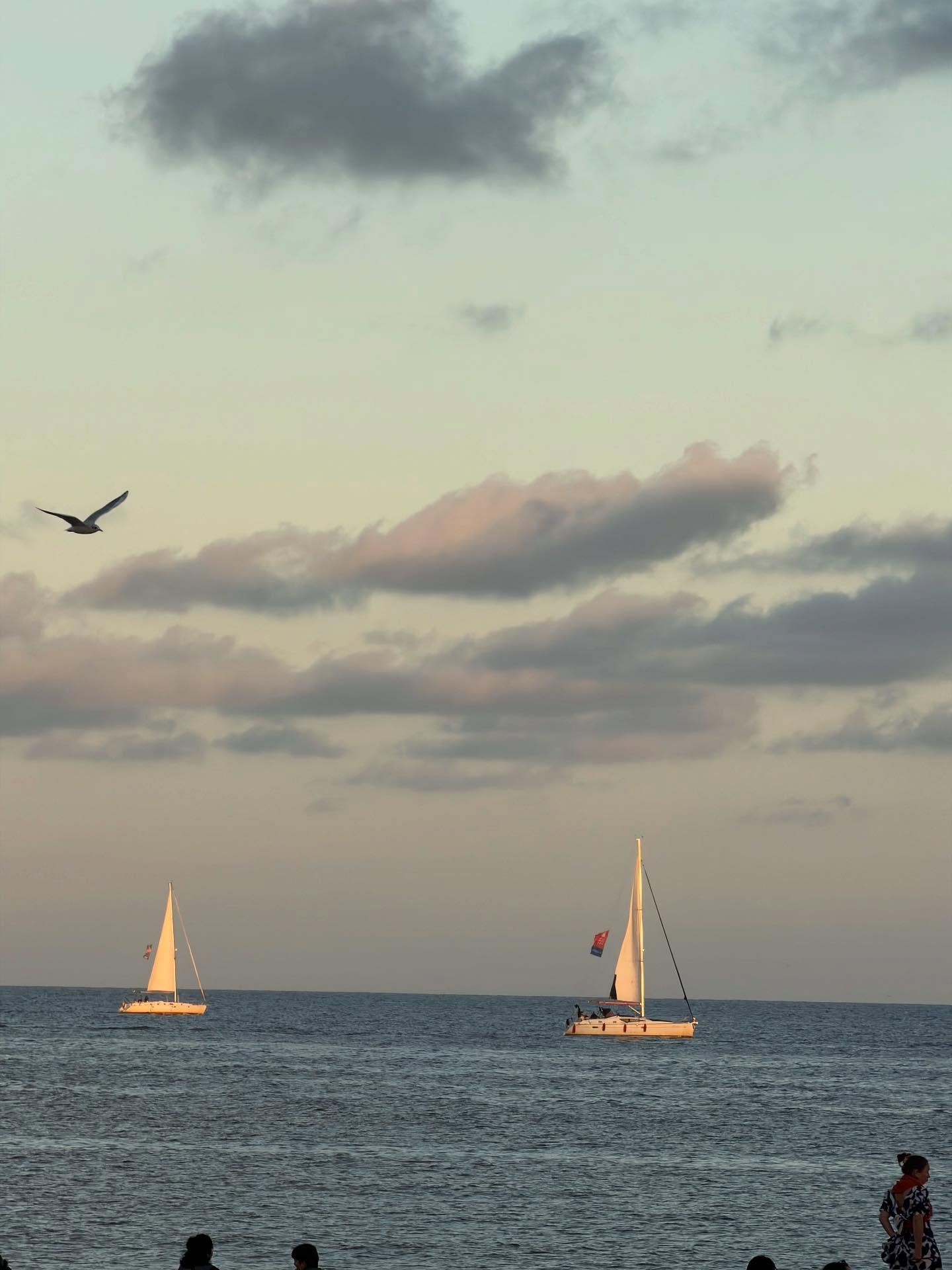 มิ้นท์ - ณัฐวรา วงศ์วาสนา