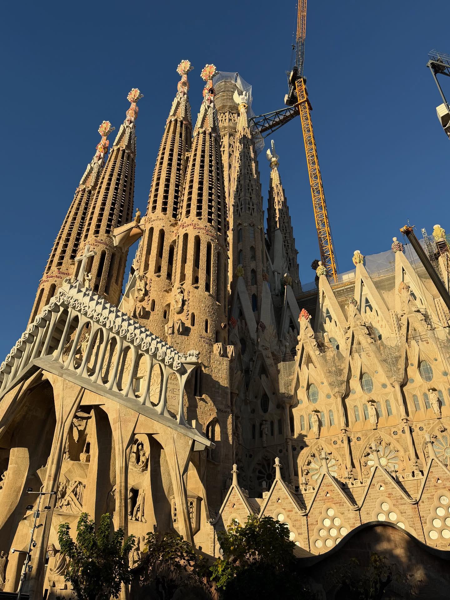 มิ้นท์ - ณัฐวรา วงศ์วาสนา