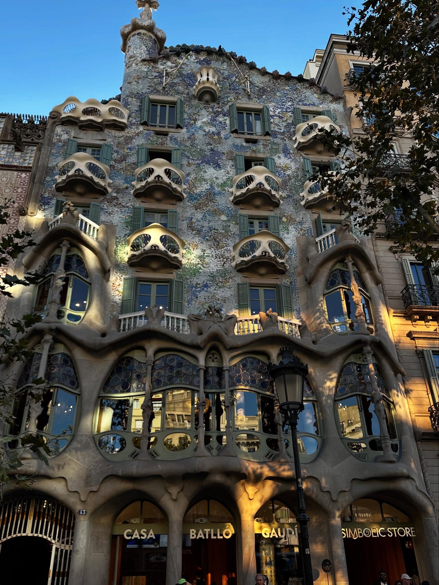 มิ้นท์ - ณัฐวรา วงศ์วาสนา