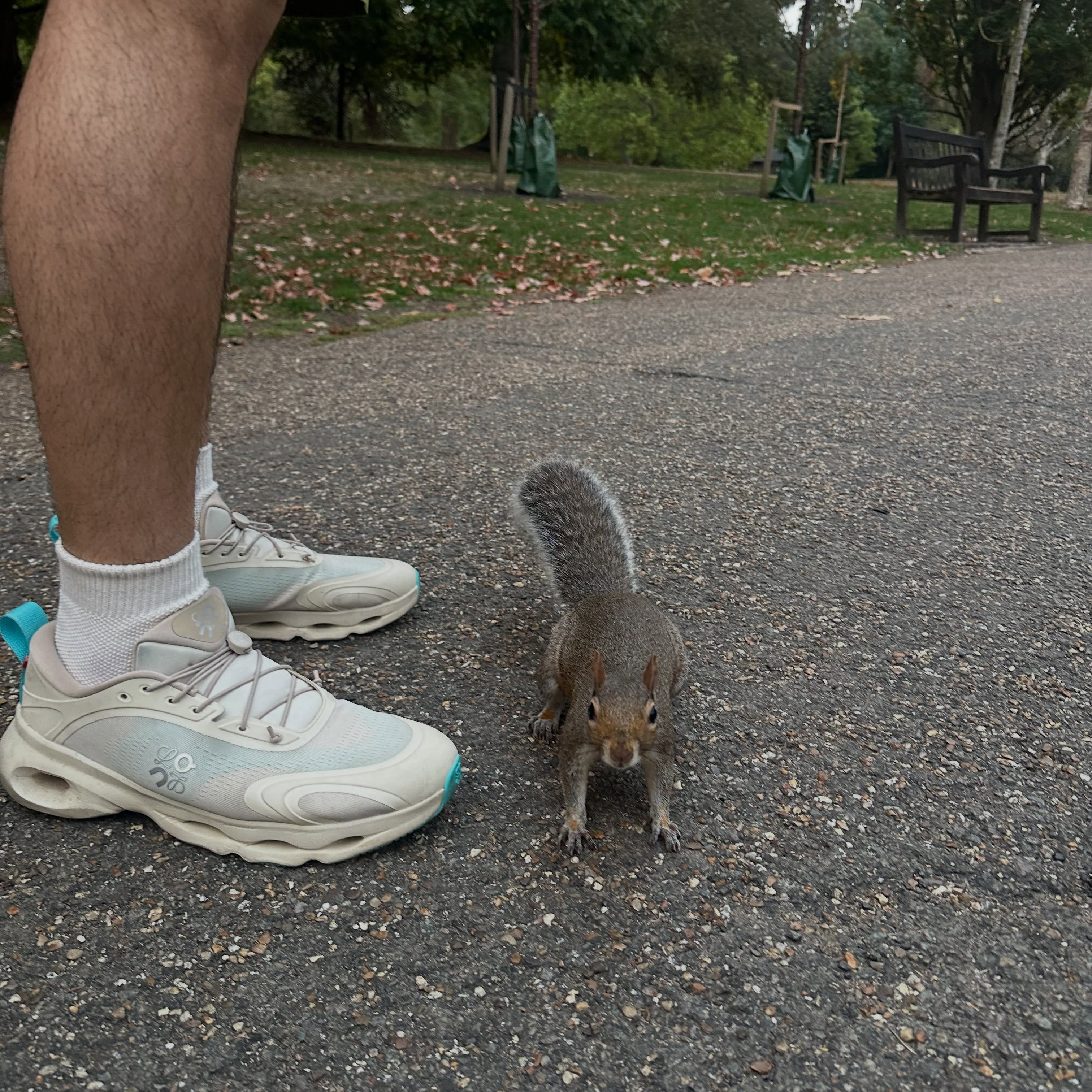 มิ้นท์ - ณัฐวรา วงศ์วาสนา