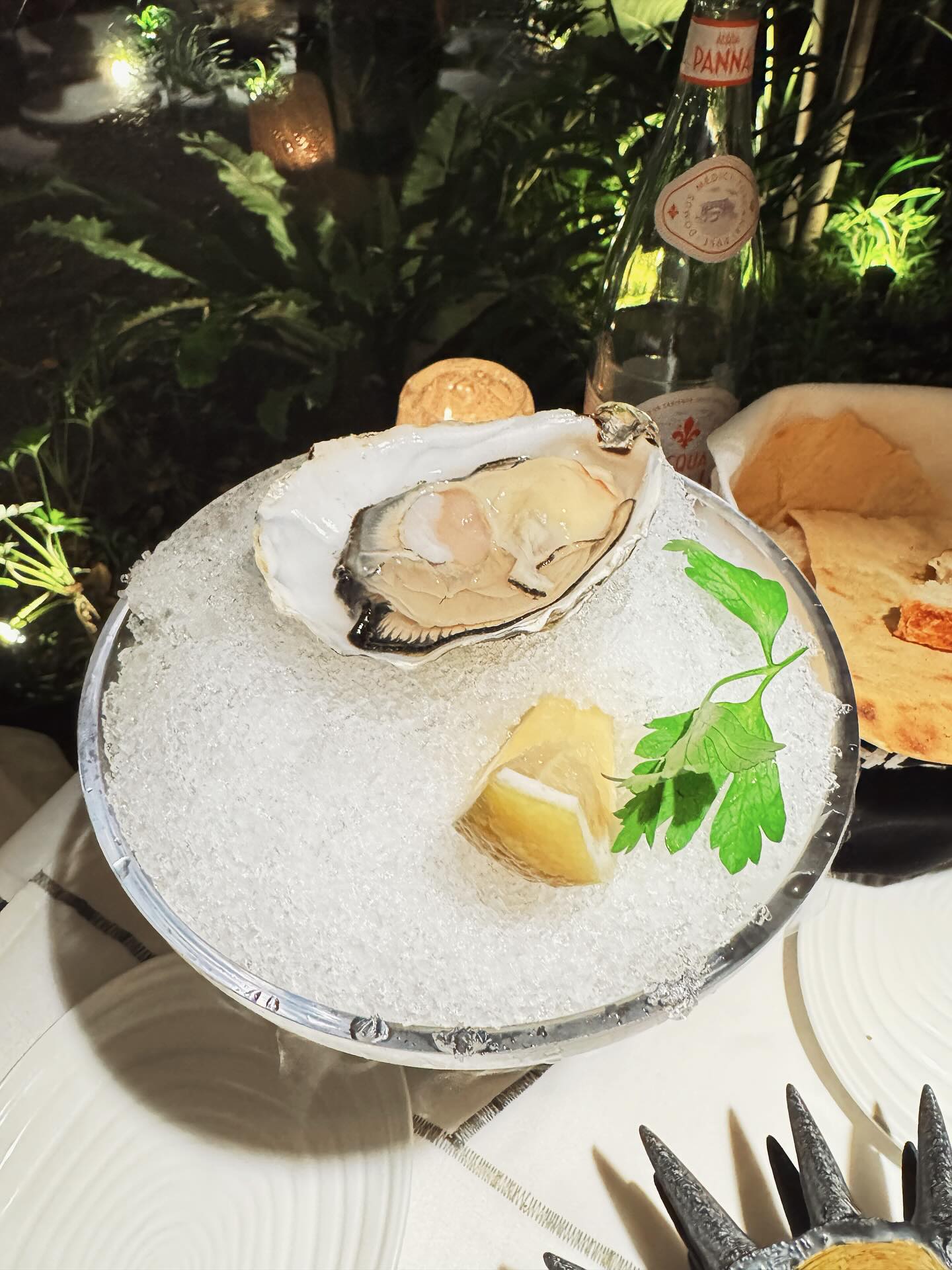 เบนซ์ - ปุณยาพร พูลพิพัฒน์