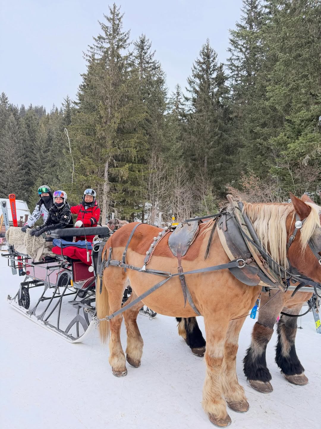 เบนซ์ - ปุณยาพร พูลพิพัฒน์